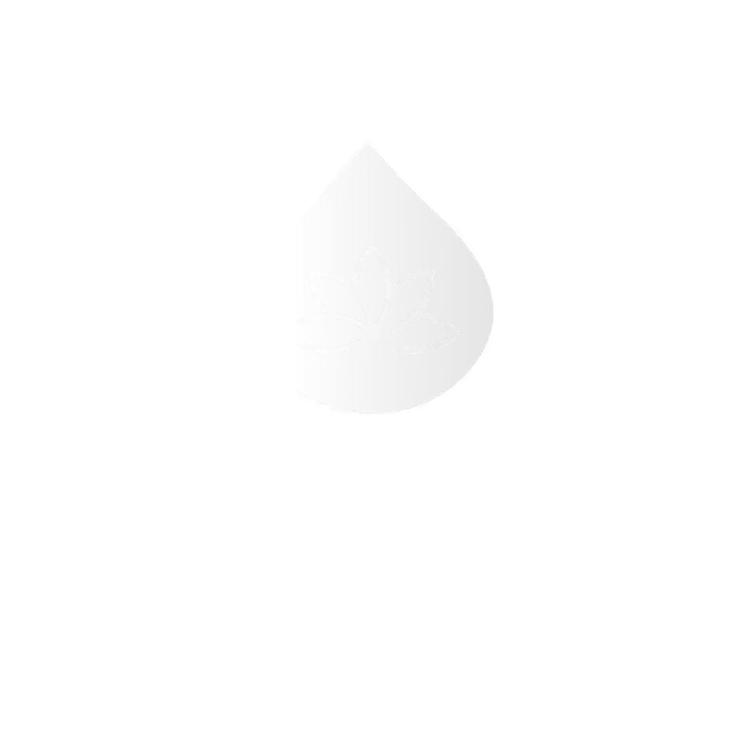 Logo Bou Spa